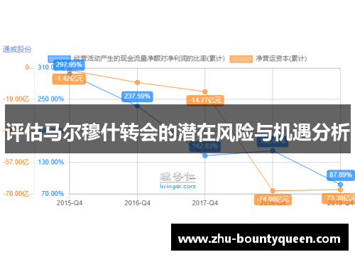 评估马尔穆什转会的潜在风险与机遇分析 评估马尔穆什转会的潜在风险与机遇分析