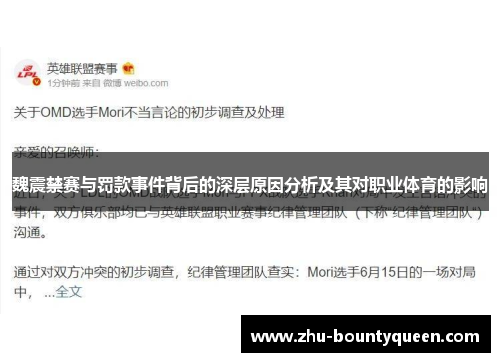 魏震禁赛与罚款事件背后的深层原因分析及其对职业体育的影响